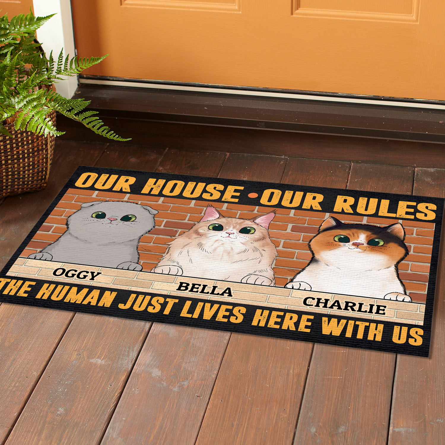 1VT. Cat Our House Our Rules (Sample Design 3) Doormat Mockup 1