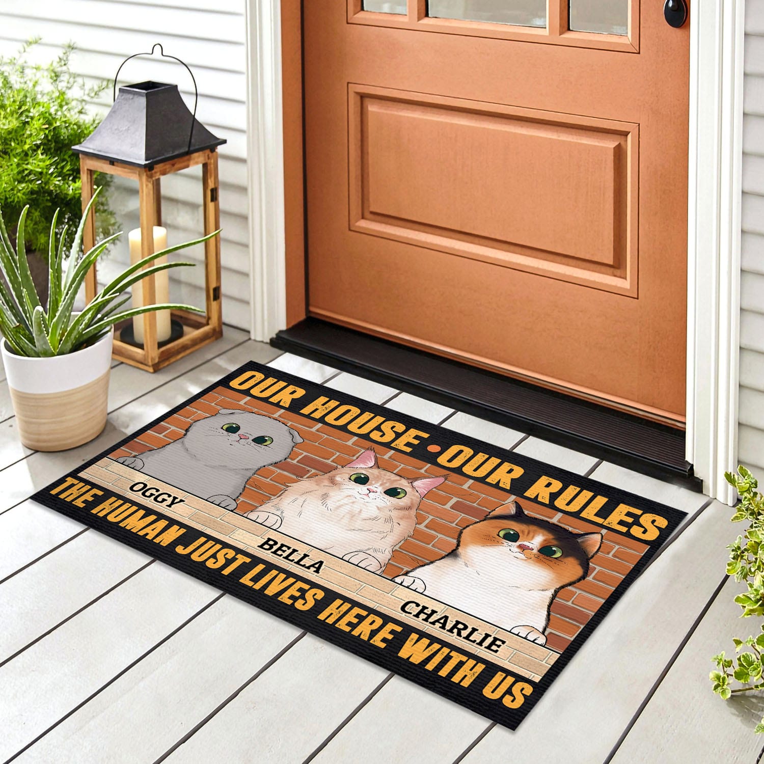 1VT. Cat Our House Our Rules (Sample Design 3) Doormat mockup 8