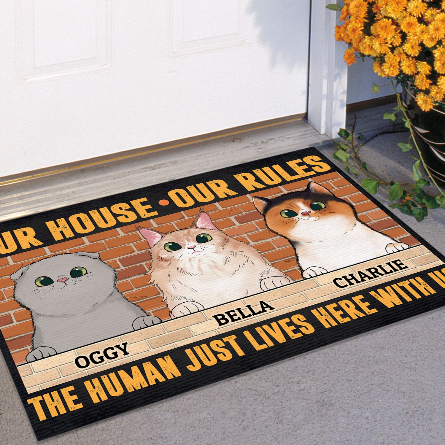 1VT. Cat Our House Our Rules (Sample Design 3) Doormat Mockup 11