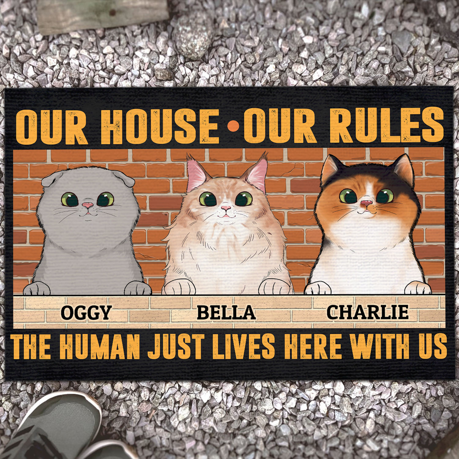 1VT. Cat Our House Our Rules (Sample Design 3) Doormat Mockup 13