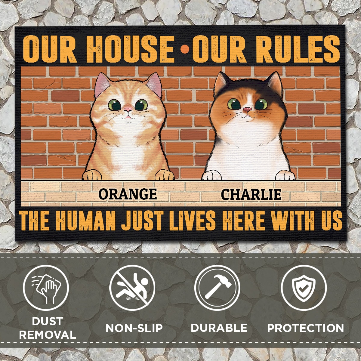 1VT. Cat Our House Our Rules doormat mk feature 1
