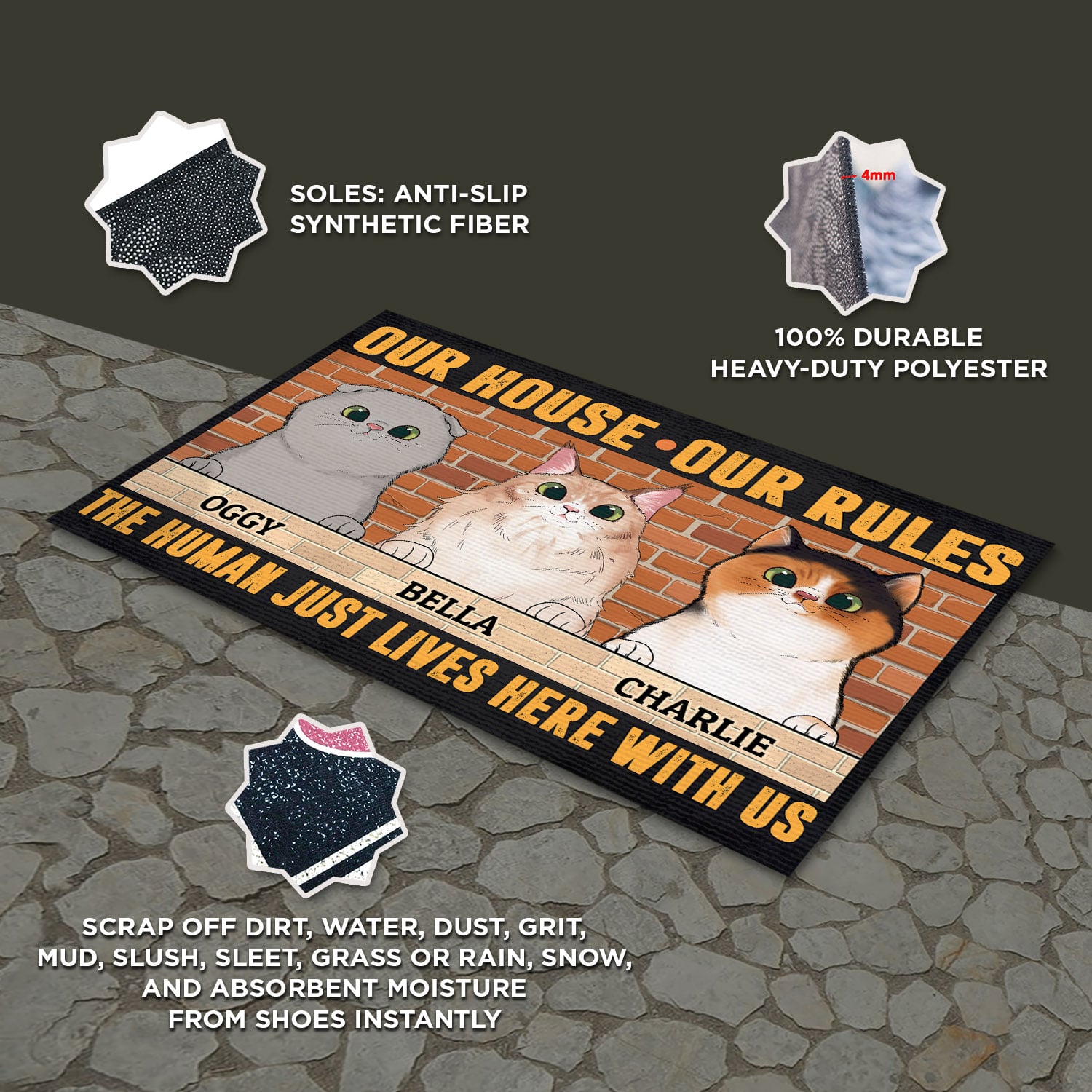 1VT. Cat Our House Our Rules doormat mk feature 2