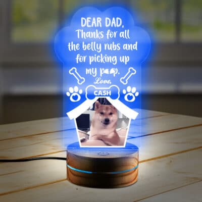 2D Night Light