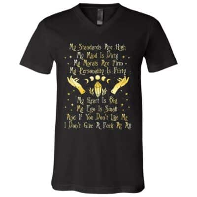 V-Neck T-Shirt