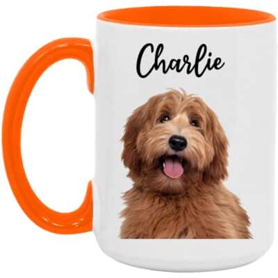 15 oz. Accent Mug