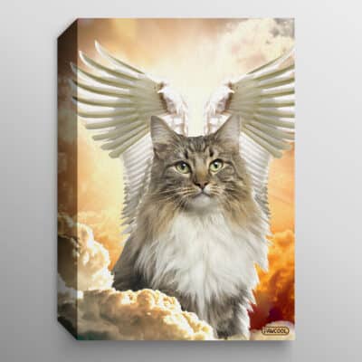 1.5'' Deluxe Canvas
