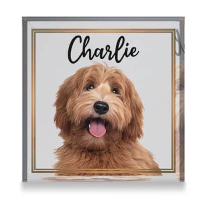 Square Acrylic Plaque