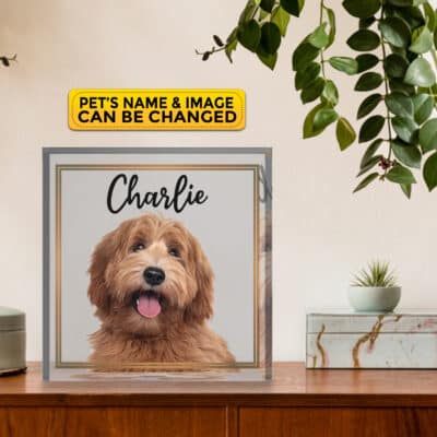 Personalized Pet Dog Cat Drawing Acrylic Plaque - Custom Pet Draw Art Funny Acrylic Plaque