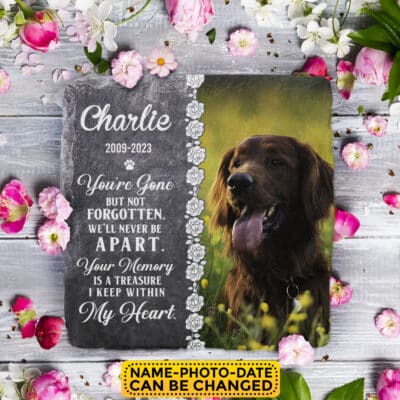 Personalized Photo You're Gone But Not Forgotten Memorial Garden Stone Plaque Decor - Memorial Gifts for Pet Dog Cat