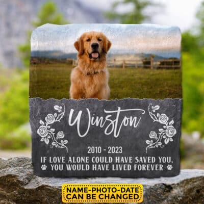 Personalized Photo Pet You Would Have Lived Forever Memorial Garden Stone Plaque Decor -  Memorial Pet Dog Cat Gifts