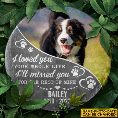 Personalized Photo I Loved You Your Whole Life Memorial Garden Stone Plaque Decor - Memorial Gifts for Pet Dog Cat