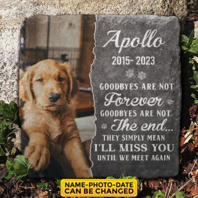 Personalized Goodbyes Are Not Forever Not The End I'll Meet You Until We Meet Again Memorial Pet Garden Stone Plaque Decor