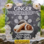 Personalized Photo Pet Missing You Unconditional love and Playful Paws Memorial Garden Stone Plaque Decor - Memorial Dog Cat Gifts