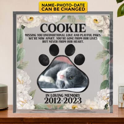 Personalized Photo Pet Missing You Unconditional love and Playful Paws Acrylic Plaque Decor - Memorial Dog Cat Gifts