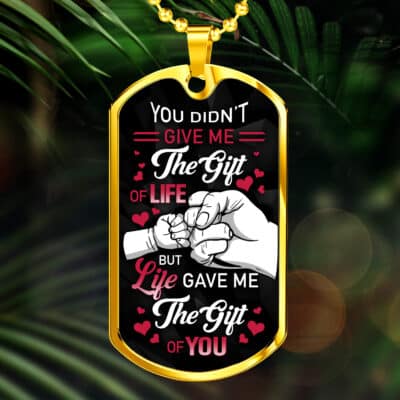 You Didn't Give Me the Gift of Life Dog Tag Pendant Necklace for Step Dad - Necklace Gifts For Dad