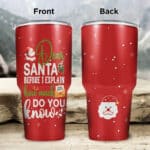 Dear Santa Before I Explain How Much Do You Know Funny Christmas Insulated Tumbler Cup With Lid and Straw
