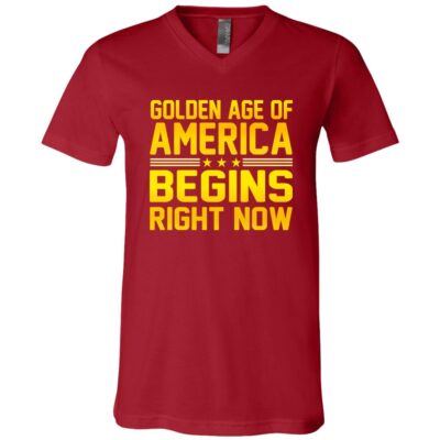 V-Neck T-Shirt