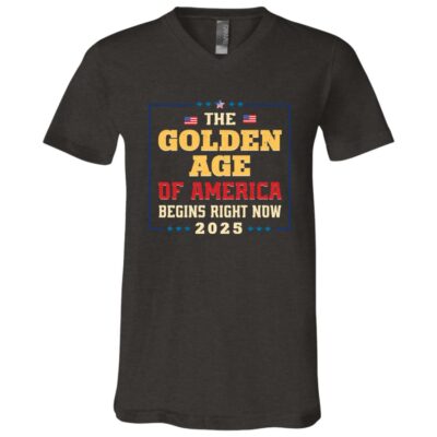 V-Neck T-Shirt