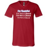 Funny Thanksgiving I’m Thankful I’m Not A Liberal T-Shirt - V-Neck Shirt for Men Women, Canvas Red, V-Neck T-Shirt